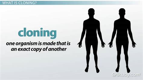 clone clothes meaning|slang for clone copy.